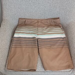 Striped Brown and Green Swim Shorts
